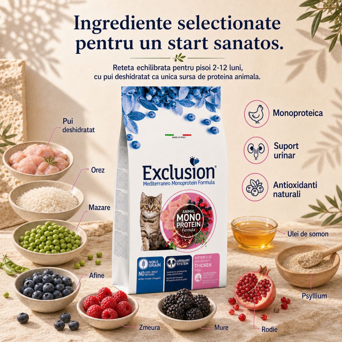 EXCLUSION Mediterraneo Monoprotein Formula Kitten, Pui, hrană uscată monoproteică pisici junior, 12kg